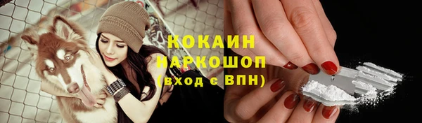 тгк Новокубанск