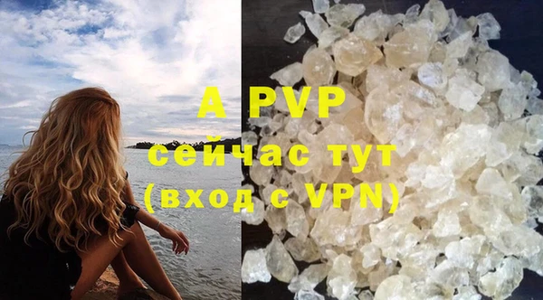 a pvp Новодвинск