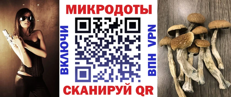 Псилоцибиновые грибы Psilocybine cubensis  Советский 