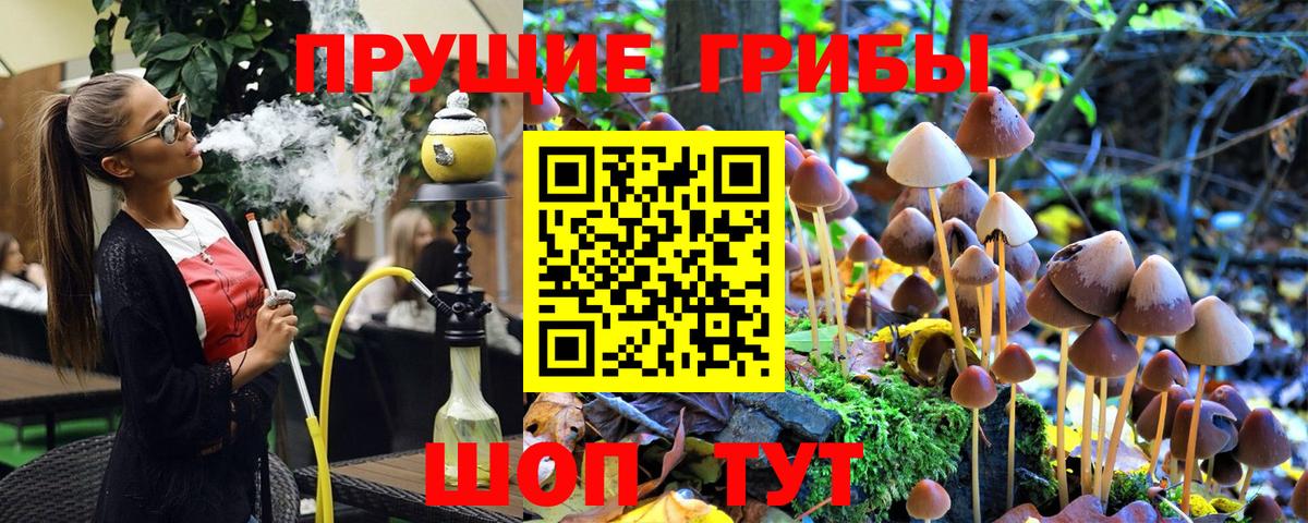 Галлюциногенные грибы мицелий  Псилоцибиновые грибы Psilocybe  Вход с VPN  Советский 