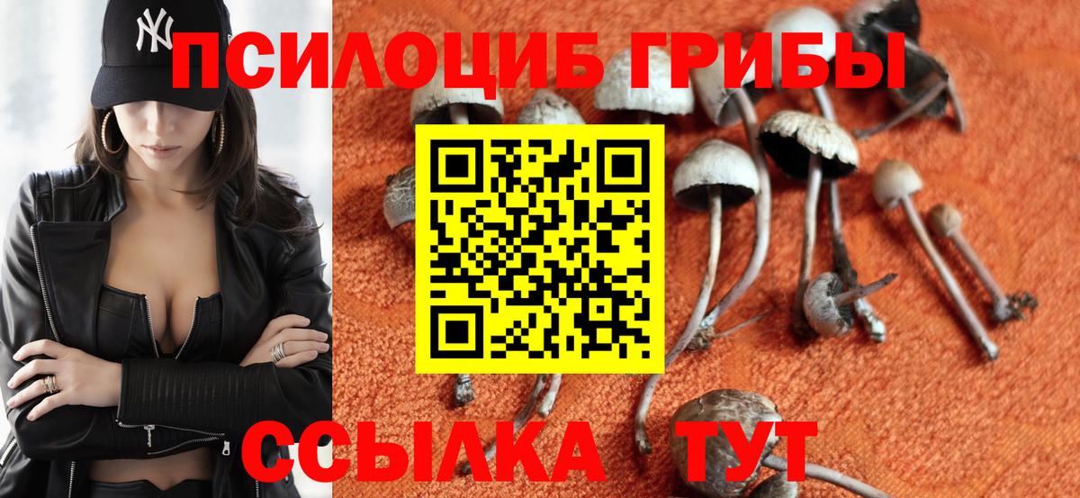 Псилоцибиновые грибы Psilocybe Советский